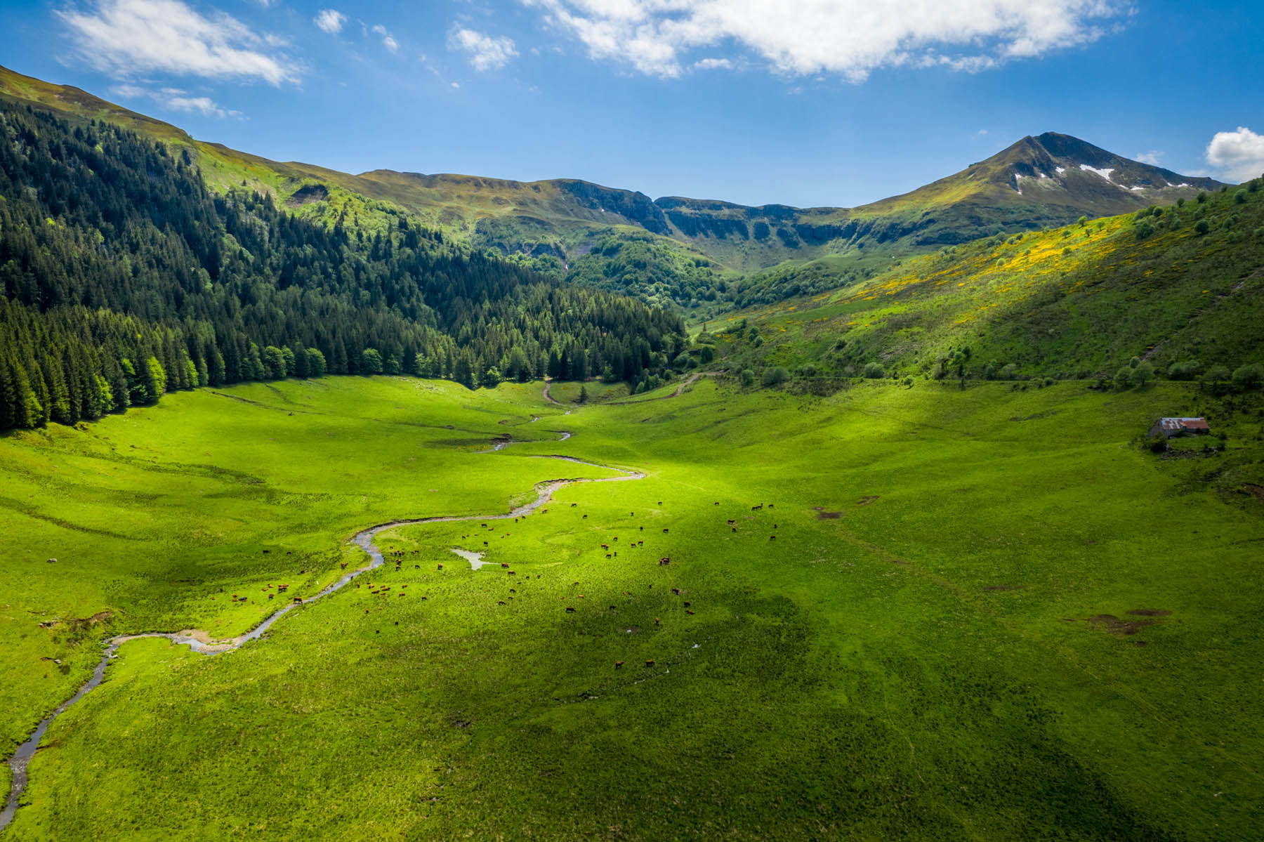 montgolfière cantal